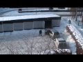 View Video